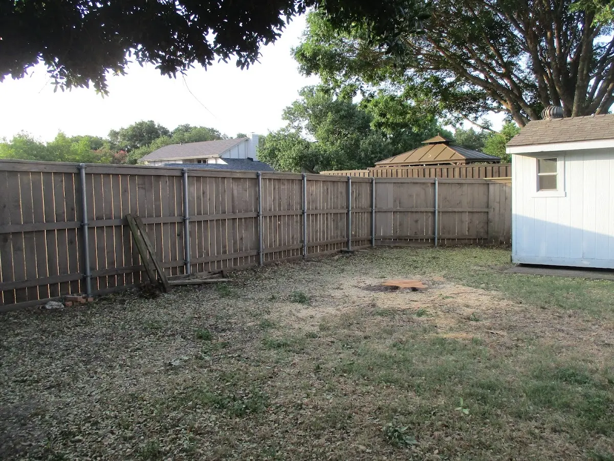 Cleared yard after professional tree removal in North Fork